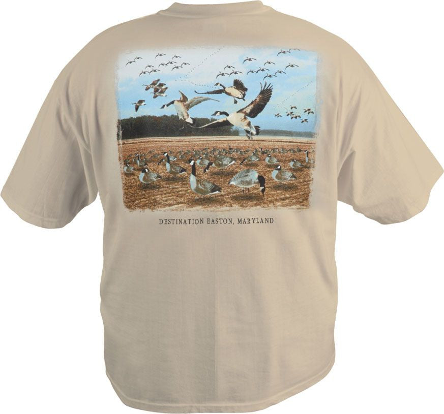 Easton, Maryland Destination Series S/S T-Shirt  DT2000